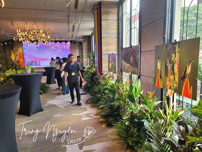 Cho thuê cây cảnh sự kiện Hà Nội