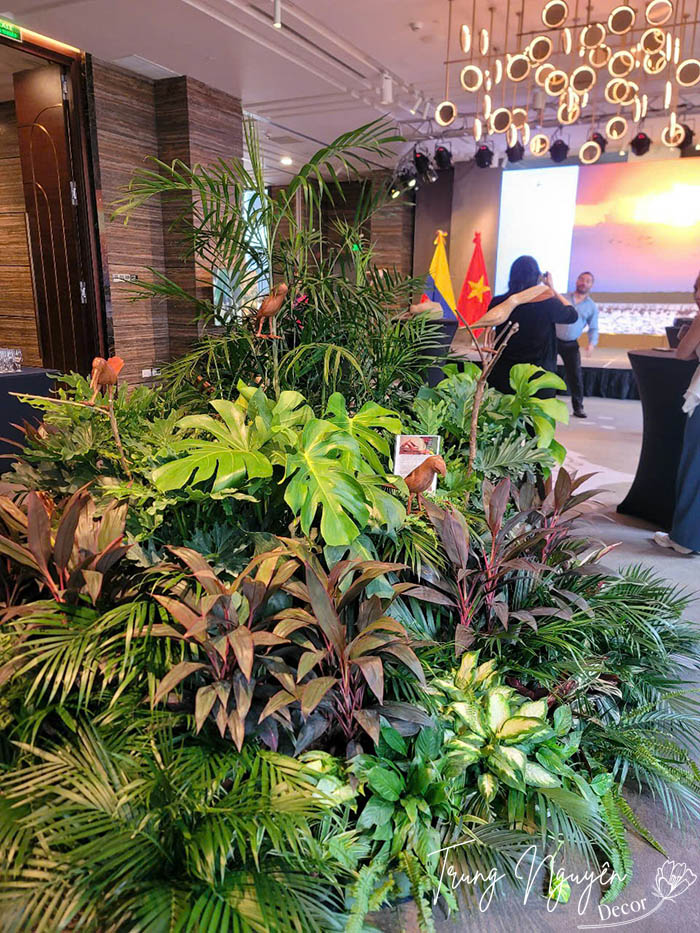Cho thuê cây cảnh sự kiện Hà Nội