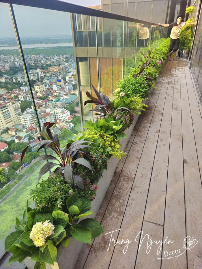 Setup cây chậu xanh mướt cho Penthouse