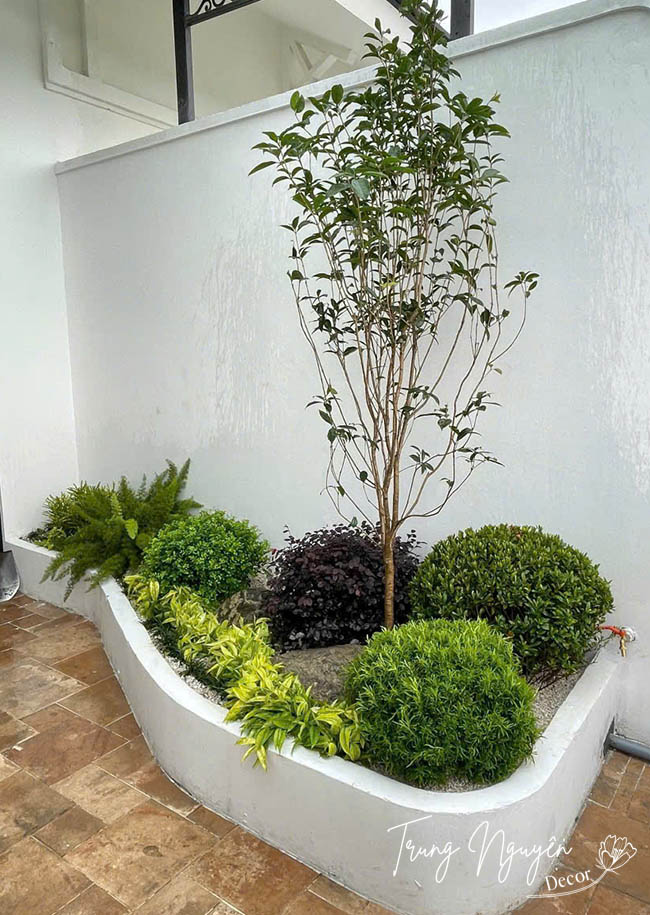 Cây xanh sân vườn – Không gian sống trong lành và thẩm mỹ