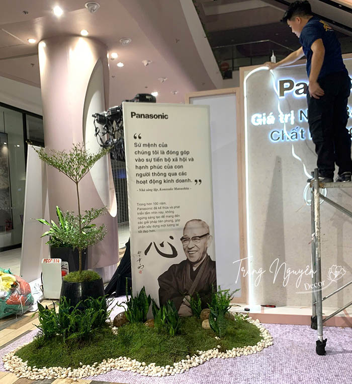 Cho thuê cây cảnh xanh sự kiện tại Hà Nội