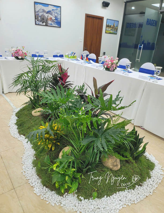 Cho thuê cây cảnh xanh sự kiện tại Hà Nội