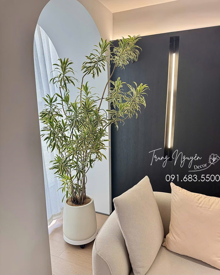 cay-canh-decor-homstay