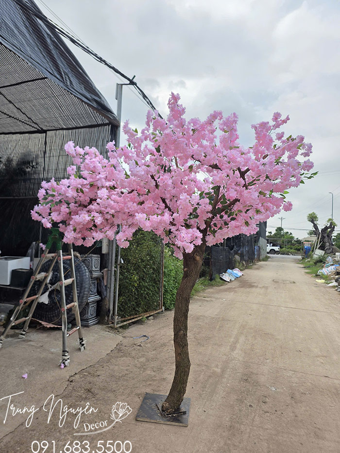 Cây Đào Lụa Màu Hồng