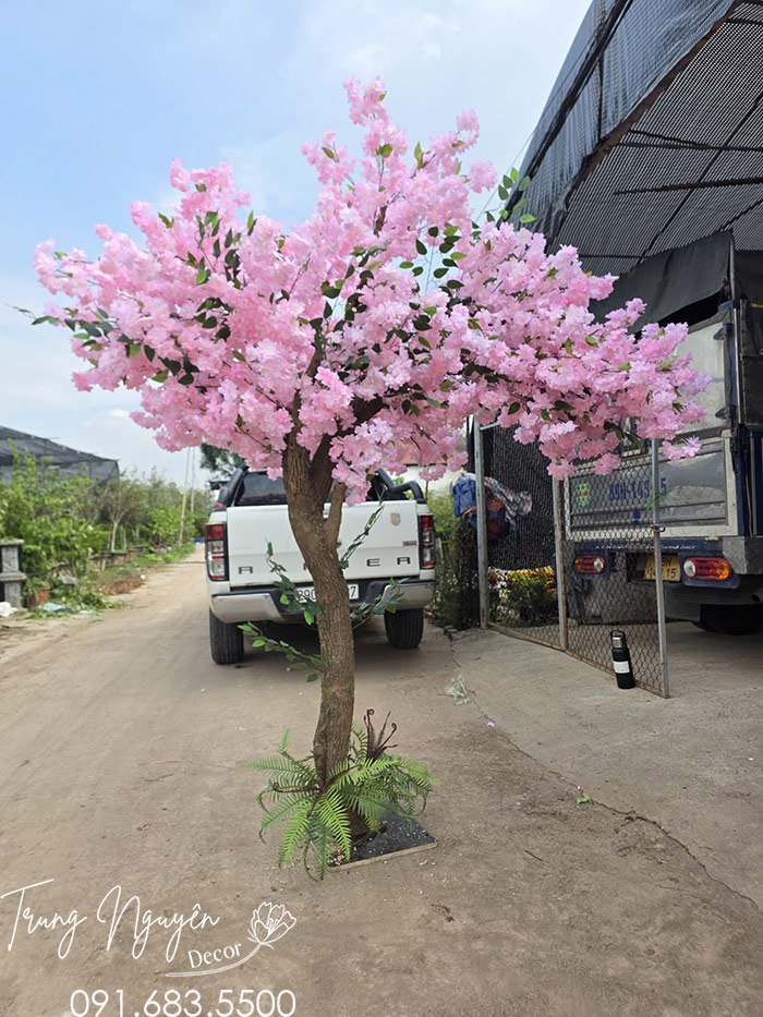 Cây Đào Lụa Màu Hồng