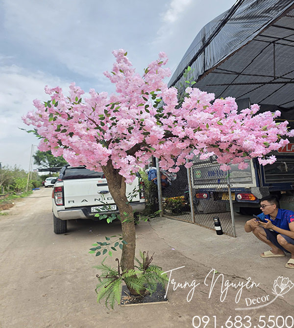 Cây Đào Lụa Màu Hồng