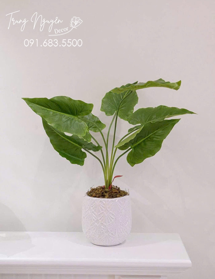 Chậu Cây Giả Đặt Bàn Làm Việc