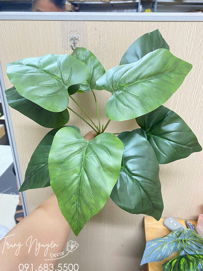 Cành Môn Giả 9 Lá
