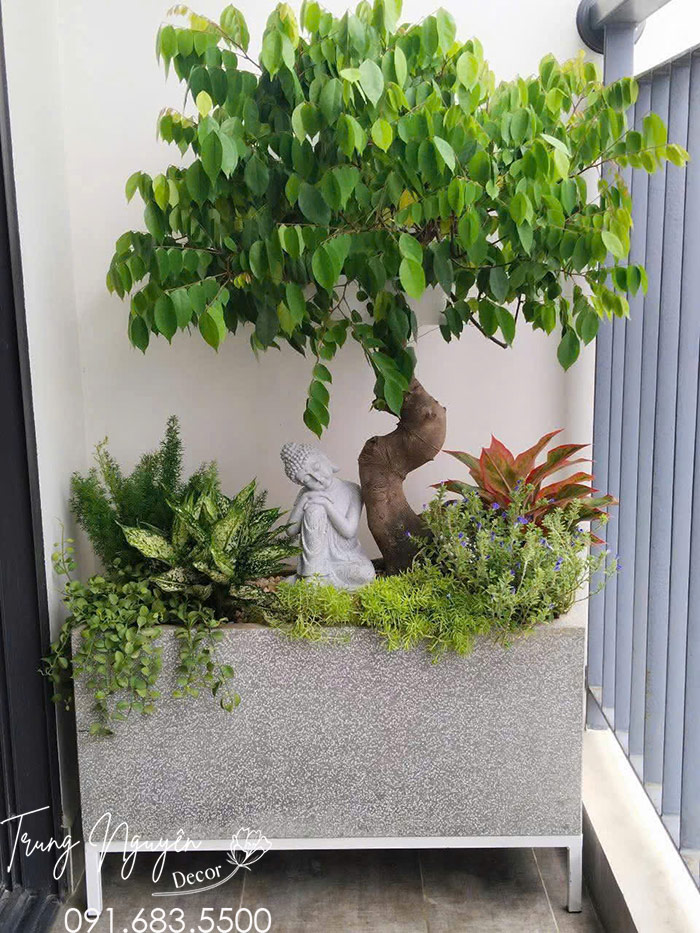 Chậu Đá Mài Cong Thiết Kế Theo yêu Cầu