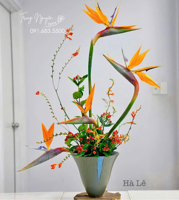 Cây hoa Thiên Điểu Mỏ Hạc