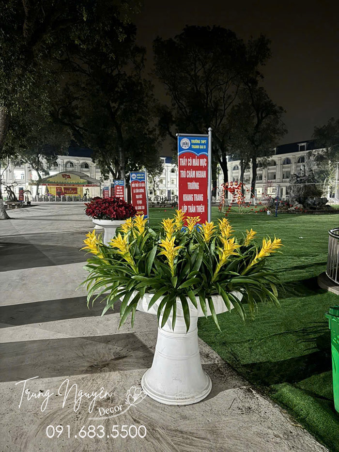 Cây Nến - Đuốc đỏ vàng