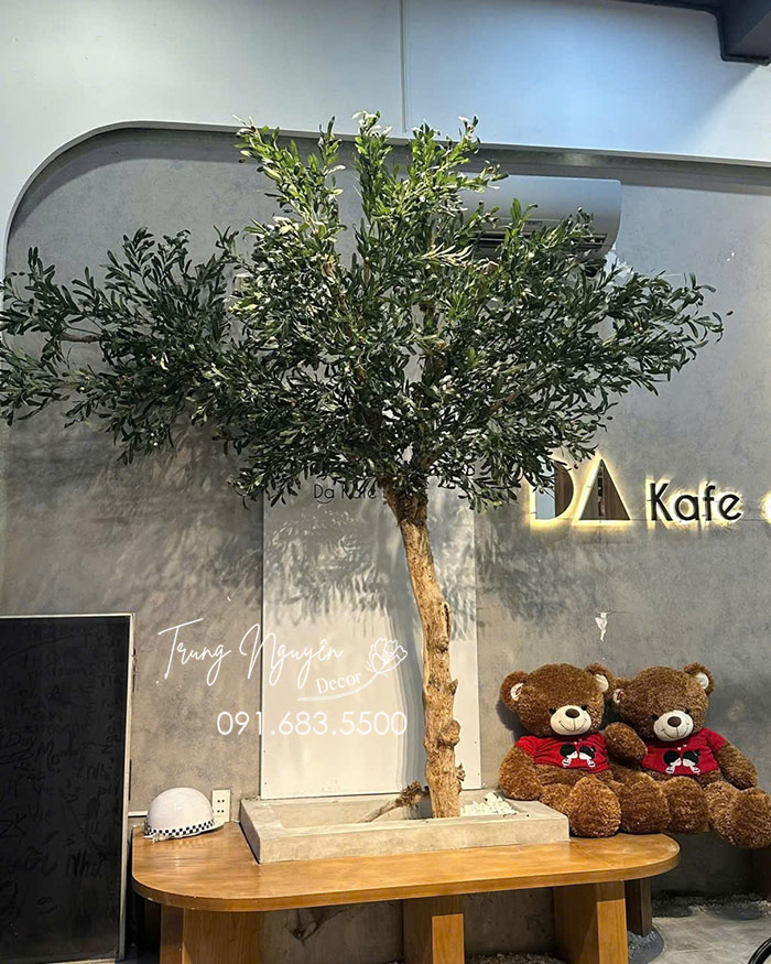 Cây Olive giả