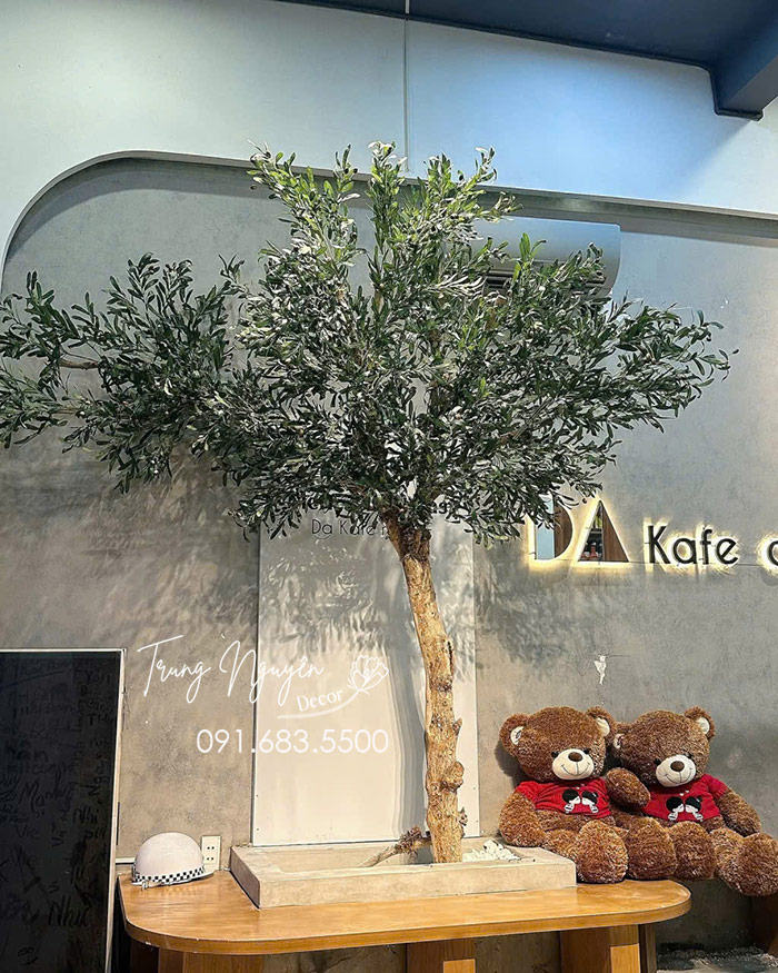 Cây Olive giả