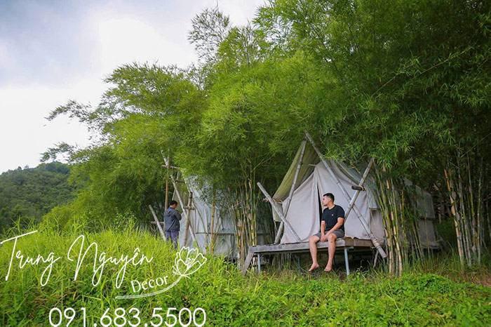 Cây Trẻ Tầm Vông